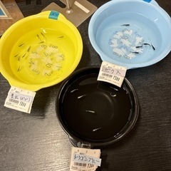 メダカ幼魚ちゃん
