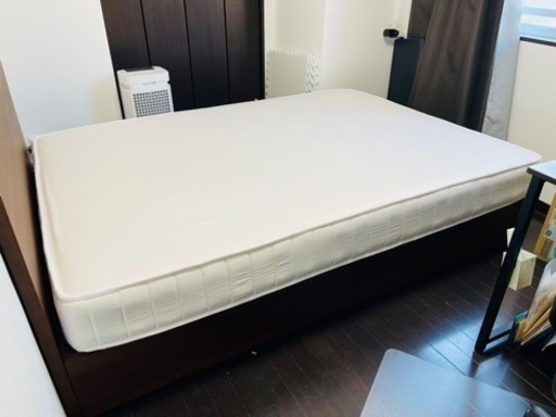 NORTHWAY SPORTS ESPERANZA NSG-358a BLACK 3本 (P1966akxYM)