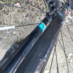 FELT BROAM30の画像