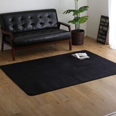 【新品未使用品】ブラック　高密度フランネルマイクロファイバー・ラ...