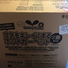空気をきれいにするホッドカーペット　2畳