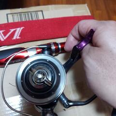 レマーレ6とレマーレ8000Dのセットです。の画像