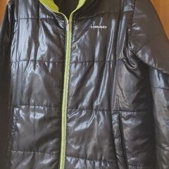 中綿入りジャケットの画像