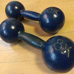 鉄アレイ　8㎏×２