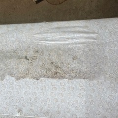 大のお皿新品未使用の画像