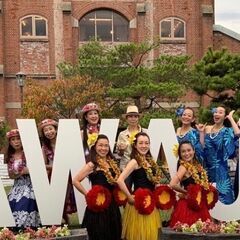 フラダンス教室　初心者さん大歓迎！体験レッスン受付中！一緒に踊りましょう★の画像