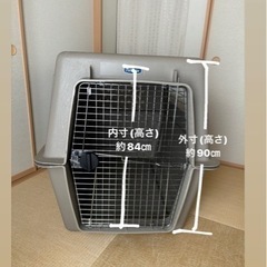 上品コーデはコレで安心！ バリケンネルの中古が安い！激安で譲ります・無料であげます(5 その他