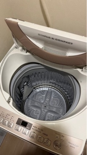 洗濯機(1人暮らし向け)