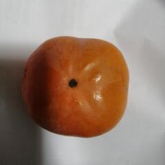 柿大きいサイズ（6個入りで250円でお譲りします）の画像