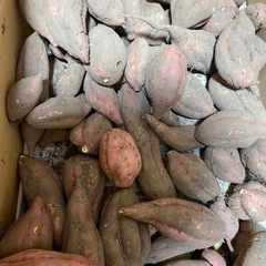 さつまいも