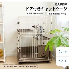 猫グッズ差し上げます！の画像