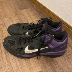 NIKE シューズ 28cm バスケットボール バッシュの画像