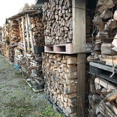 薪　広葉樹　サクラ　ナラなど　キャンプ