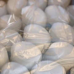 【お渡し完了致しました】１２０個まとめて！資生堂のシャンプー、コンディショナー、ボディーソープのボトルの画像