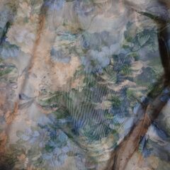 Etoile Collection シフォン生地カットソーの画像