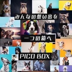 【在宅◎】未経験でも稼げる💰"EC•ネットショップ運営"