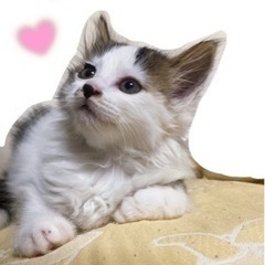 生後1ヶ月半の赤ちゃん