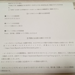 ピーチポイント　10,000円分　航空券　チケット