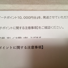 ピーチポイント　10,000円分　航空券　チケットの画像
