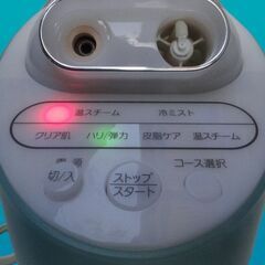 ●Panasonic イオンスチーマー　EH2473 ナノケア　プラチナの画像