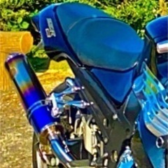 r’s gear ワイバン ツインタイプマフラー ZZR1400KAWASAKIの画像