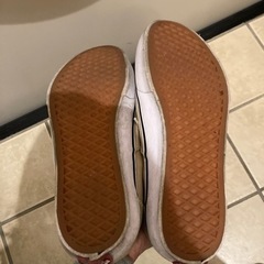 vans バンズ スニーカーの画像