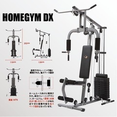 ホームジムDX BODYMAKER ※マット付きの画像