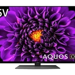 【美品】2021年製 シャープ 4K内蔵有機ELテレビ 55V型
