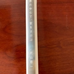 片山恭一　世界の中心で、愛をさけぶの画像