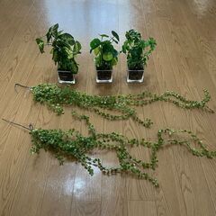 【総額4500円相当】フェイクグリーン5点セット