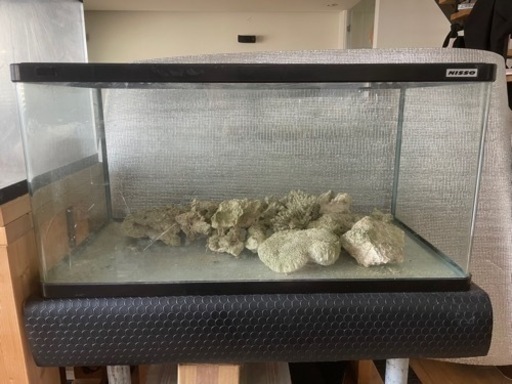 ニッソー 水槽 90cm スティングレー