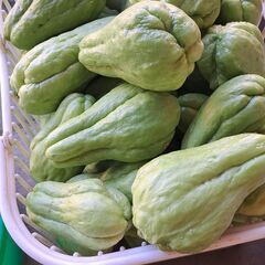 ハヤトウリ　無人野菜販売