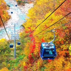 ☆急募11/4〜5☆新潟県 苗場プリンスホテル ドラゴンドラ観光...