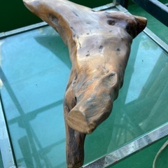 値下げ　流木オブジェ