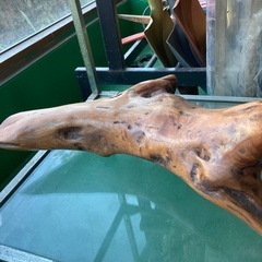 値下げ　流木オブジェの画像