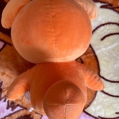 ポケモン ヒメグマ ぬいぐるみの画像
