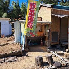 野菜など　無人販売の画像