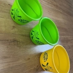 Zespri  バケツ3個セット