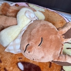 ポケットモンスター イーブイ ぬいぐるみ