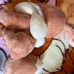 ポケットモンスター イーブイ ぬいぐるみの画像