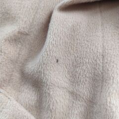 レディースコート3日午前中までの画像