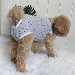 【決まりました】犬の去勢手術後の術後服１着　男の子用　