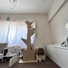 急募！12月24日までに引き取り可能な方　キャットタワー　トフカ...