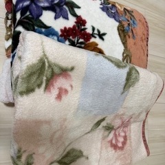 毛布　2枚セット
