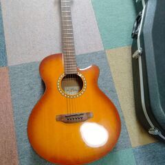 ARIA アコギ　TG-1 LVS