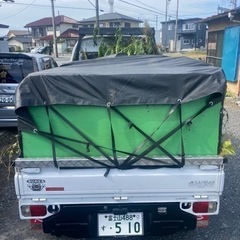 庭木の伐採、剪定、草刈りを承ります。