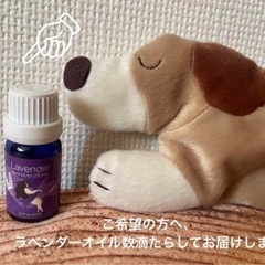 おやすみワンちゃんアロマフレグランスの画像