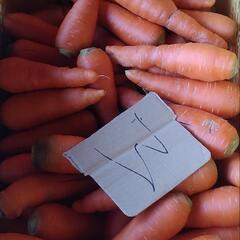 【決まりました】訳あり　山形県産　にんじん　約5kg