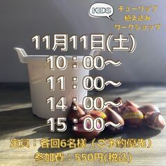 11月11日(土)☆KIDSチューリップを植えようワークショップ☆【花夢館神戸店】の画像
