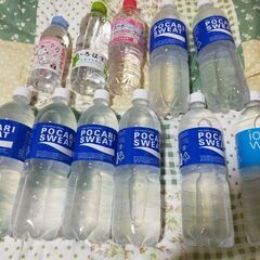 大サイズポカリスエット中心計11本